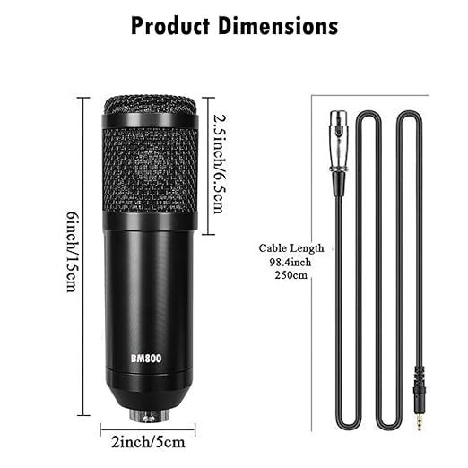 BM800 Condenser Microphone