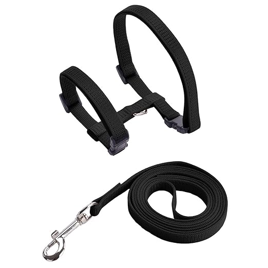 Cat Harness Leash Set for Cats & Kittens