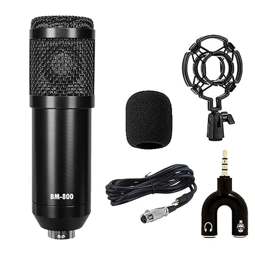 BM800 Condenser Microphone