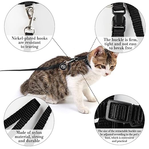 Cat Harness Leash Set for Cats & Kittens