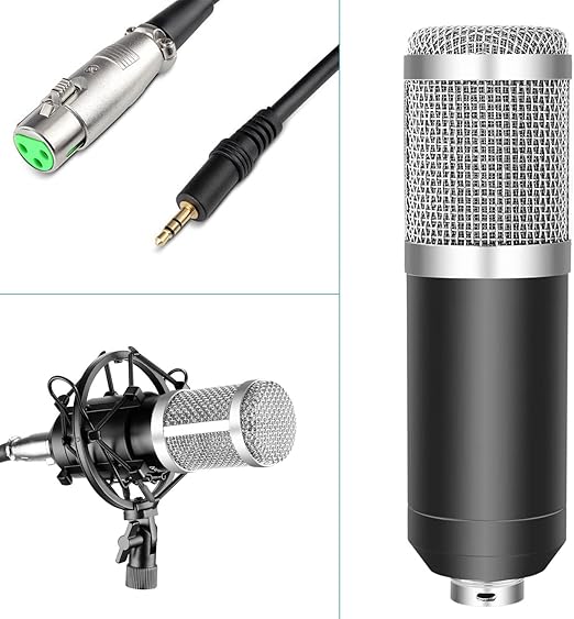 BM800 Condenser Microphone