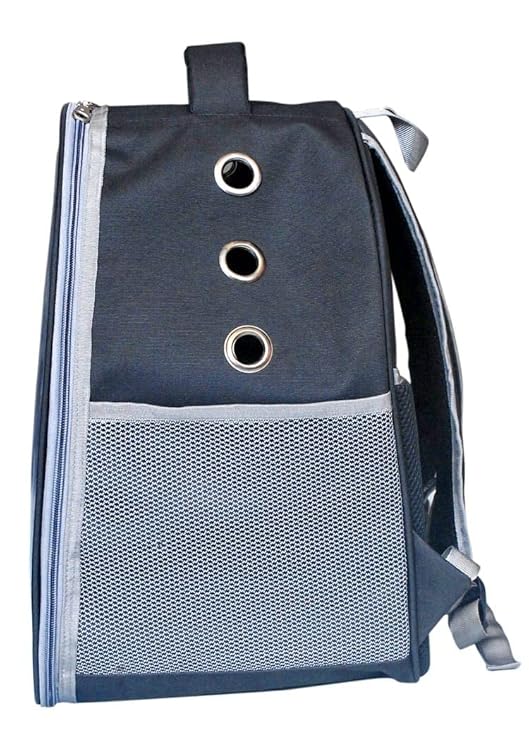 Pet Carrier for Cat & Small Dog and Puppy Kitty Transparent and Breathable