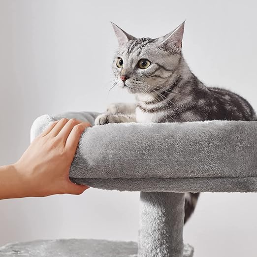 Cat Kitten Scratching Post Activity Tree